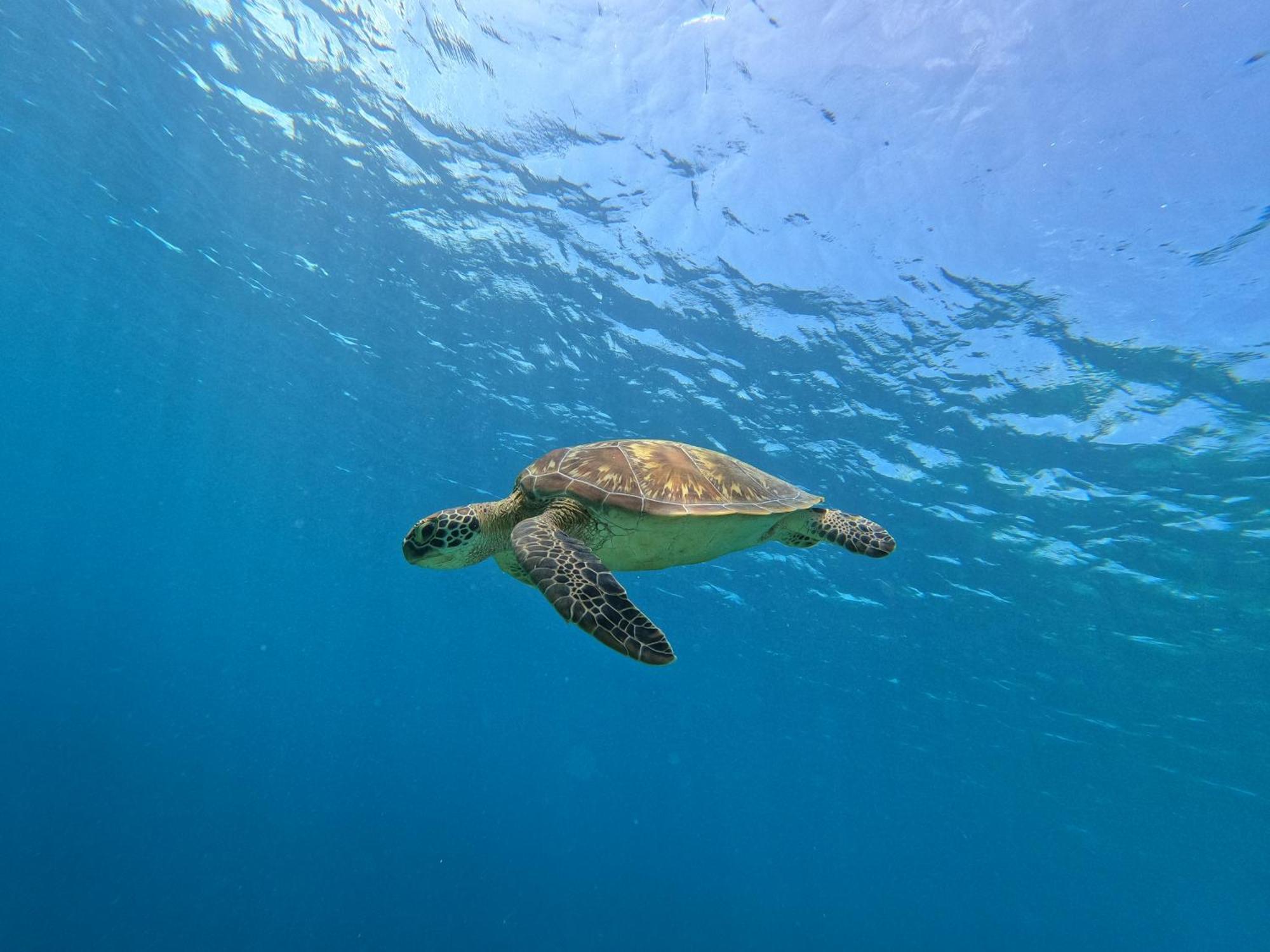 Biosphere Inn Dharavandhoo Buitenkant foto